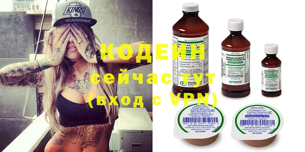 индика Рославль