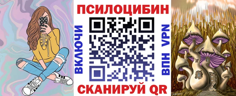 Псилоцибиновые грибы мицелий  продажа наркотиков  Гатчина 
